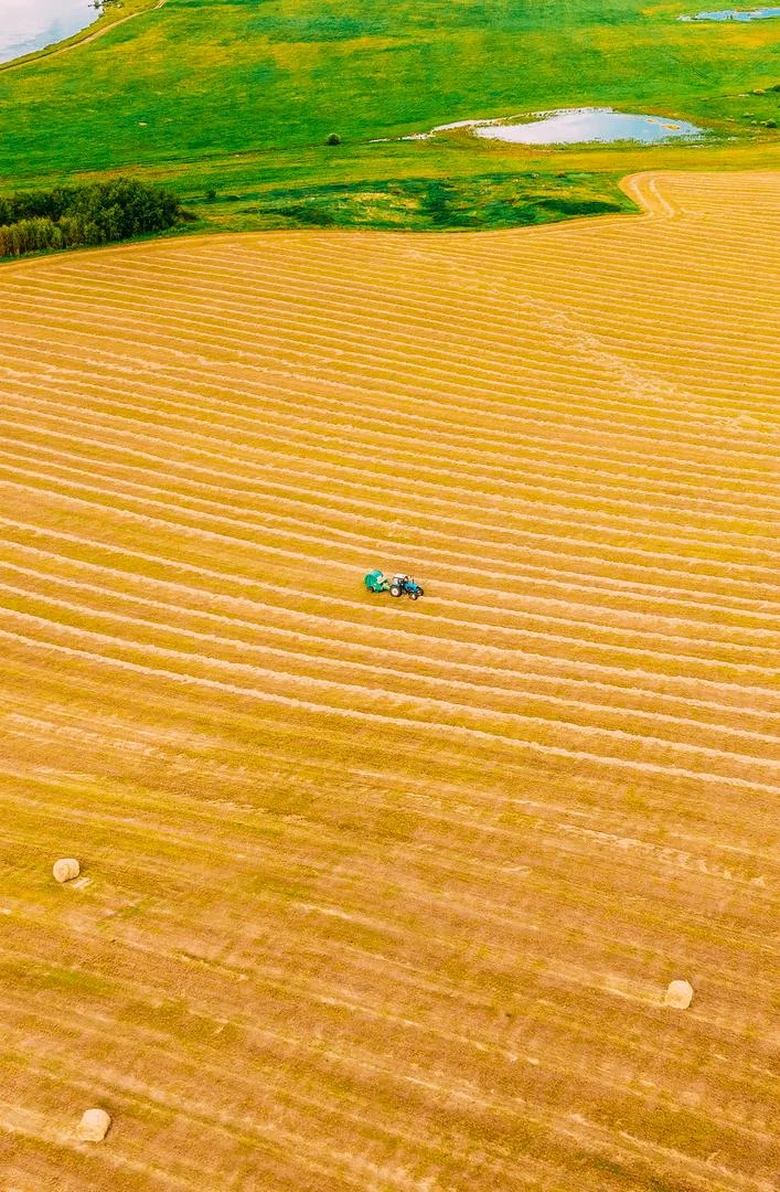 Battle River region landscape